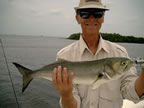 Fishing Gallery