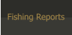 Fishing Reports